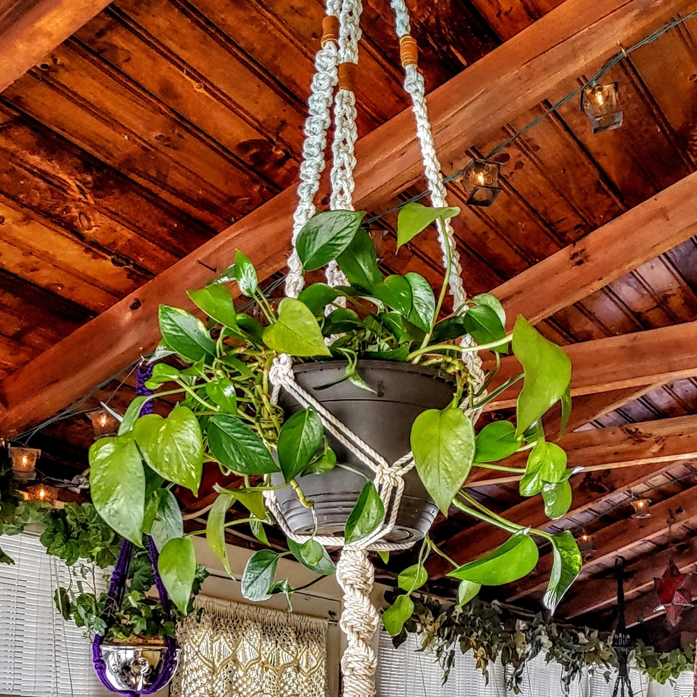 Natural Cotton & Suede Boho Plant Hanger - Picture 7 of 8